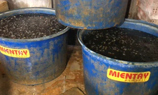 Ốc được ngâm trong các thùng hóa chất dơ bẩn.