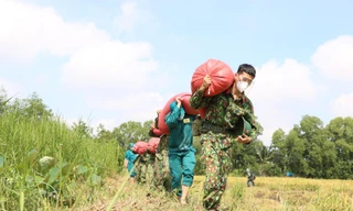 Những ngày qua, TPHCM đang thực hiện nghiêm lệnh giãn cách xã hội để phòng chống dịch COVID-19.