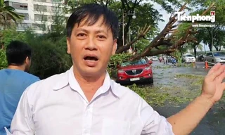 Tài xế bàng hoàng kể lại giây phút bị cây ngã đè bẹp ô tô tiền tỉ