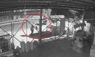 Cận cảnh ‘cẩu tặc’ chích điện trộm chó trong vài giây