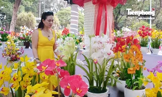 Người Sài Gòn trẩy hội hoa xuân ngắm 'kỳ hoa dị thảo'