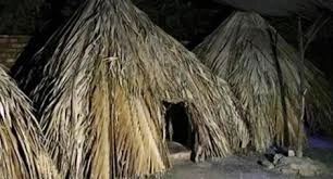 Chủ quán cà phê chòi nghi bị sát hại, đốt xác phi tang