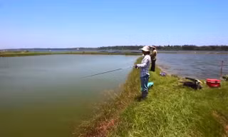 Dùng cá bằng sắt làm mồi câu cá thật