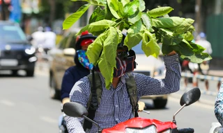 Người Sài Gòn vật vã trong nắng nóng hầm hập đầu mùa