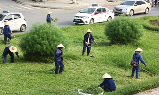 Chi phí cắt cỏ tại Hà Nội được dư luận quan tâm sau thông tin cắt cỏ 24 km đại lộ Thăng Long hết 53 tỷ đồng. Ảnh minh họa: Võ Hải.
