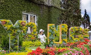 Lạc thiên đường muôn sắc hoa Sun World Ba Na Hills