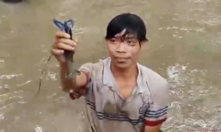 Cao thủ bắt tôm càng xanh bằng tay không