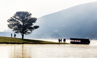 Thuyền gỗ hoạt động trái phép ở Suối Vàng.