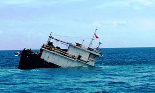 Ảnh nguồn Internet