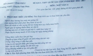 Có nên đưa lời bài hát 'Lạc trôi' vào đề thi Ngữ văn?