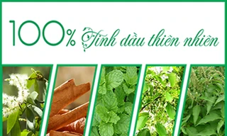 Bước đột phá dòng sản phẩm cao xoa chứa 100% tinh dầu thiên nhiên