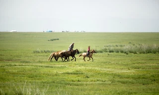 Thảo nguyên Mông Cổ ngày càng vắng bóng người du mục