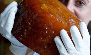 Khối hổ phách nặng 2,36kg mới được tìm thấy.