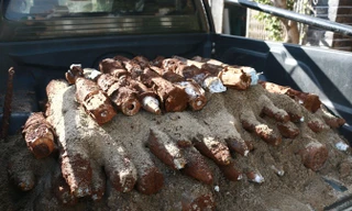 Đầu đạn và vật liệu nổ được di chuyển ra khỏi hiện trường.