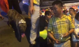 Người đàn ông vô tư thả rông chó trên phố Hà Mã. Ảnh cắt từ clip.