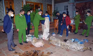 Phát hiện Hổ đông lạnh trong nhà một chủ tịch xã 
