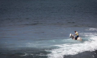 [ẢNH] Người dân Tây Ban Nha 'lướt' biển bằng ngựa