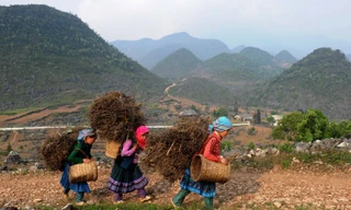 Cuộc sống đời thường của người dân Mèo Vạc trên báo nước ngoài