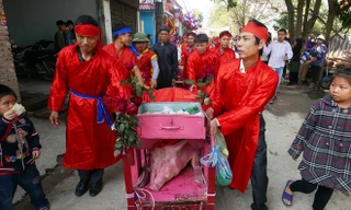 Dân Ném Thượng chém lợn trong nhà kín
