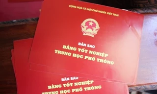 Cách chức một chủ tịch xã dùng bằng giả