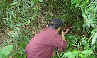 Đi săn bị ngã, súng cướp cò khiến bạn tử vong