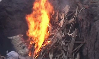 Nội tạng thối bị tiêu hủy chiều nay. Ảnh: Thái Hà