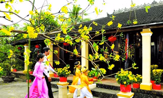  Ảnh minh họa.