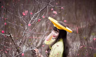 Nữ sinh trường múa khoe sắc bên hoa đào