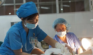 Những công dân đầu tiên năm Bính Thân