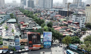 Cận cảnh hàng cây cổ thụ sắp bị di chuyển, chặt hạ để mở đường 'đắt nhất hành tinh'