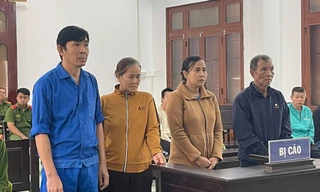 Con rể kéo gia đình nhà vợ vào vòng lao lý