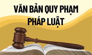 Người đứng đầu sẽ bị xử lý nếu trình, ban hành văn bản quy phạm pháp luật trái luật