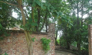 Phó chủ tịch xã tắt điện, đóng cửa 'trao đổi công việc' với nữ nhân viên