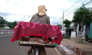 Mẹ bỏ con vào lồng đi bán vé số