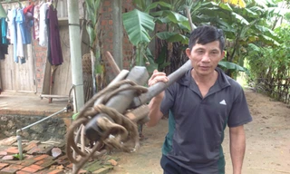 Gặp phu trầm bị bắt đòi tiền chuộc ở Malaysia