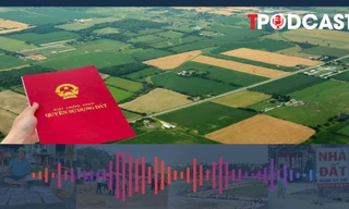 Những trường hợp sổ đỏ bị thu hồi hoặc phải đính chính