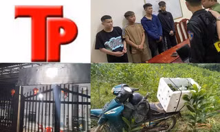Bản tin Hình sự: Nam thanh niên mất tích bí ẩn khi vào rừng tìm ong