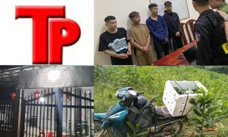 Bản tin Hình sự: Nam thanh niên mất tích bí ẩn khi vào rừng tìm ong