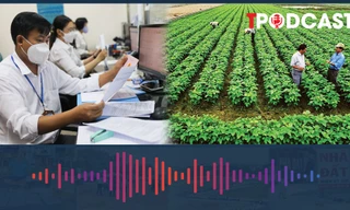 Vì sao cán bộ, công chức không được cấp đất nông nghiệp?