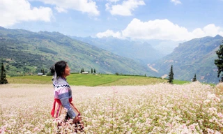 Du khách mê mẩn 'thảo nguyên Thụy Sĩ giữa lòng Hà Giang'