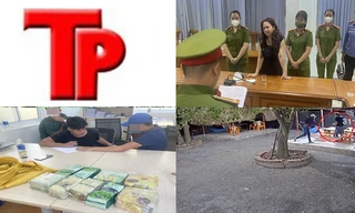 Bản tin Hình sự: Bà Nguyễn Phương Hằng bất ngờ từ chối 8 luật sư bào chữa 