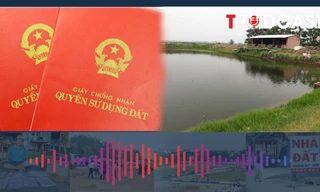 Đất chưa cấp sổ đỏ có được phép cho người khác thuê?