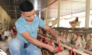 Hành trình từ tay trắng đến chủ trang trại tiền tỷ của chàng trai trẻ