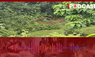 HÌNH SỰ: Phát hiện thi thể người đàn ông trong lùm cây dưới chân cầu