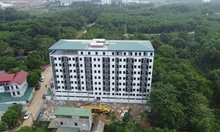 Chung cư mini xây 'chui' cả trăm căn hộ ở Thạch Thất: Xây chủ yếu trên đất trồng cây