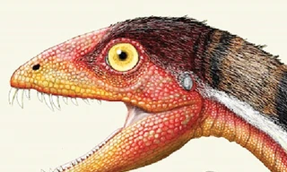 Lại phát hiện thêm khủng long mới