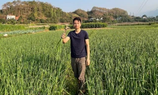 Khởi nghiệp từ tỏi đen, chàng trai 9X tạo sinh kế bền vững cho bà con vùng cao 