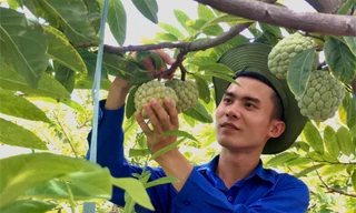 'Dân công nghệ' bỏ phố về quê khởi nghiệp với đặc sản Hải Phòng