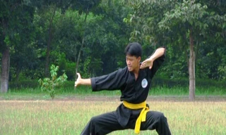 Chiến sỹ đặc công biểu diễn võ thuật Ảnh: B.P