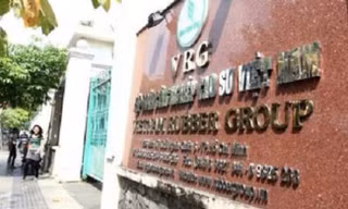 Phê duyệt phương án cổ phần hóa Tập đoàn Cao su Việt Nam